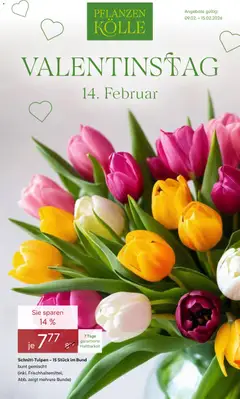 Pflanzen-Kölle Valentinstag ab 09.02.2026 gültig