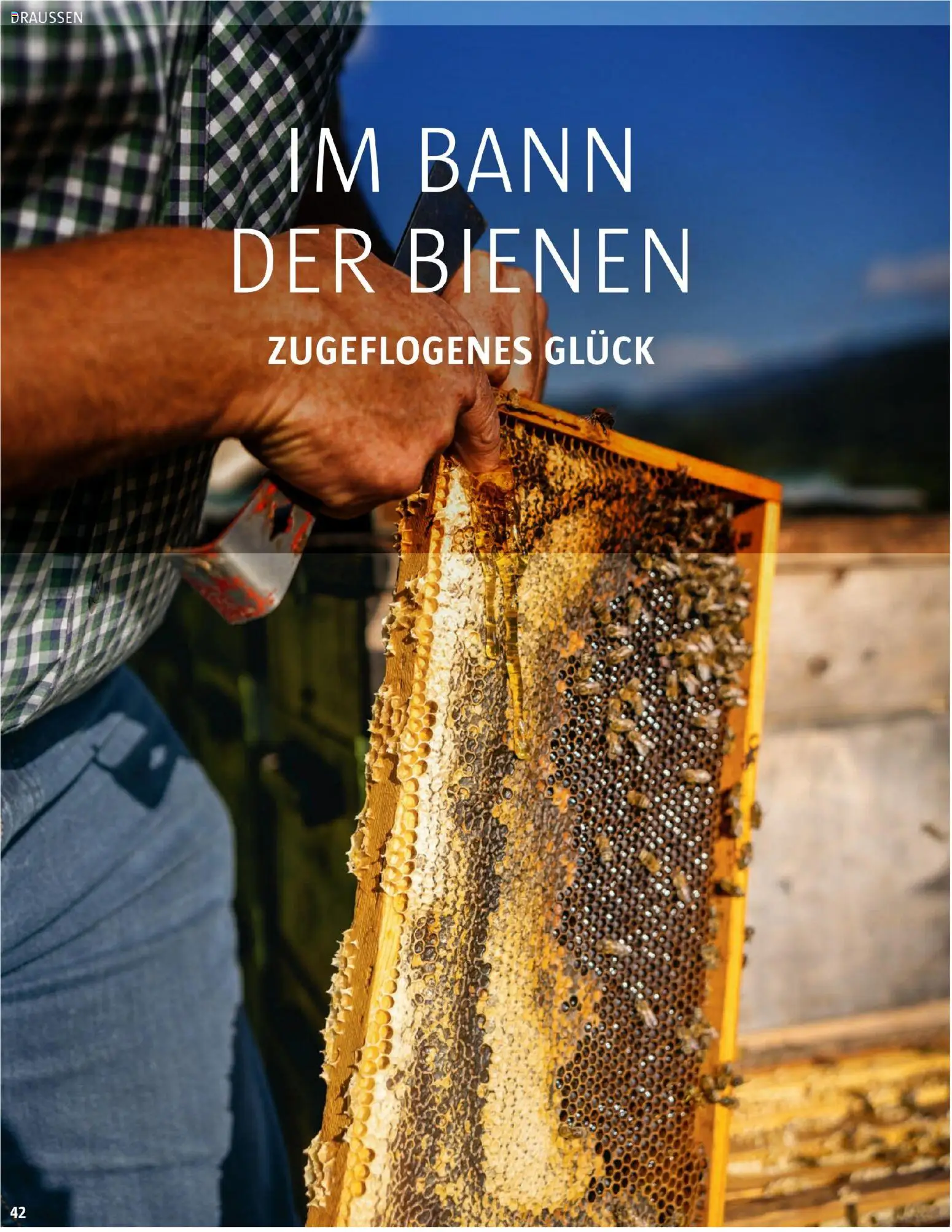 Sutterlüty B’sundrig Magazine gültig ab 17.11.2025 | Seite: 107