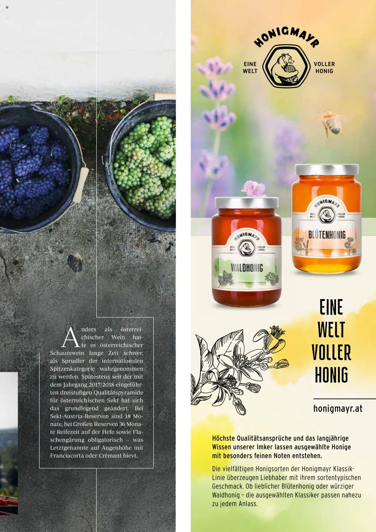Transgourmet Quintessenz 02 | 2025 gültig ab 02.06.2025 | Seite: 71 | Produkte: Wein