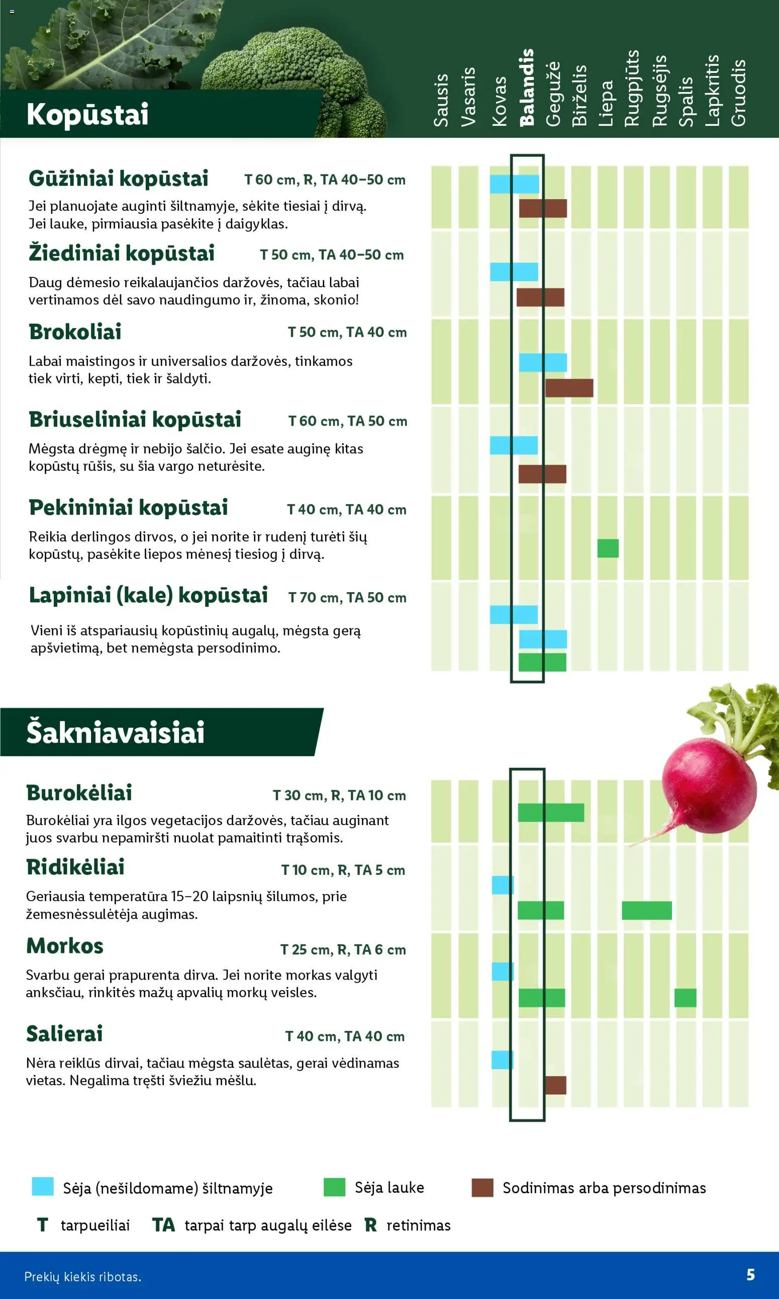 LIDL akcijos nuo 30.03.2026 | Puslapis: 5 | Prekių: Morkos