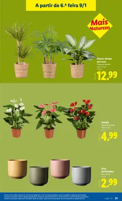 Pré-visualização Vaso de Cerâmica, Vaso: 13 cm válido de 05.01.2026 | Página: 23 | Produtos: Vaso