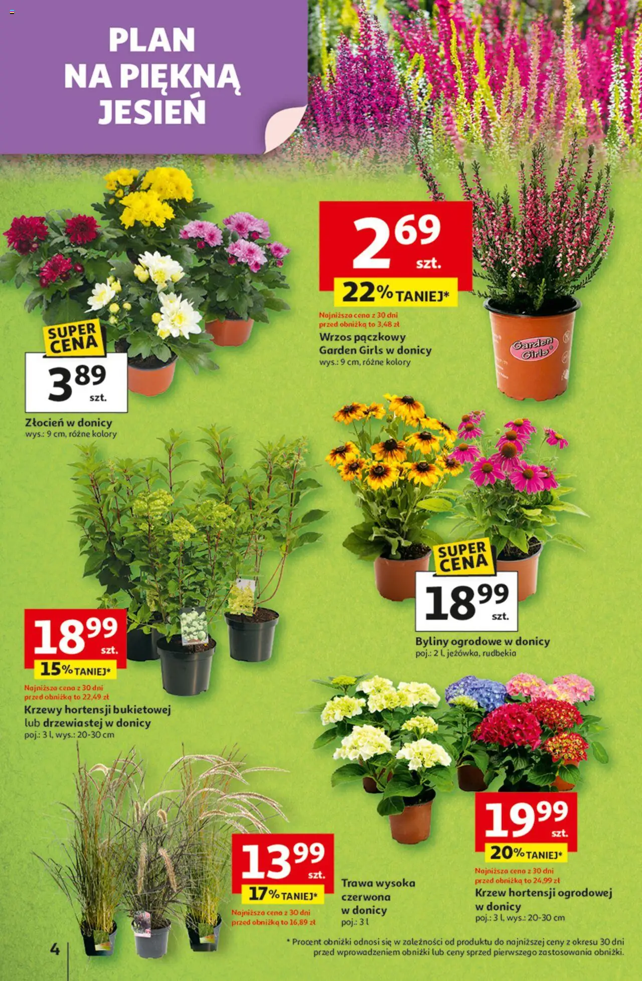 Auchan Gazetka - Odlotowe ceny na start szkoły Hipermarket od 21.08.2025 | Strona: 4 | Produkty: Wrzos