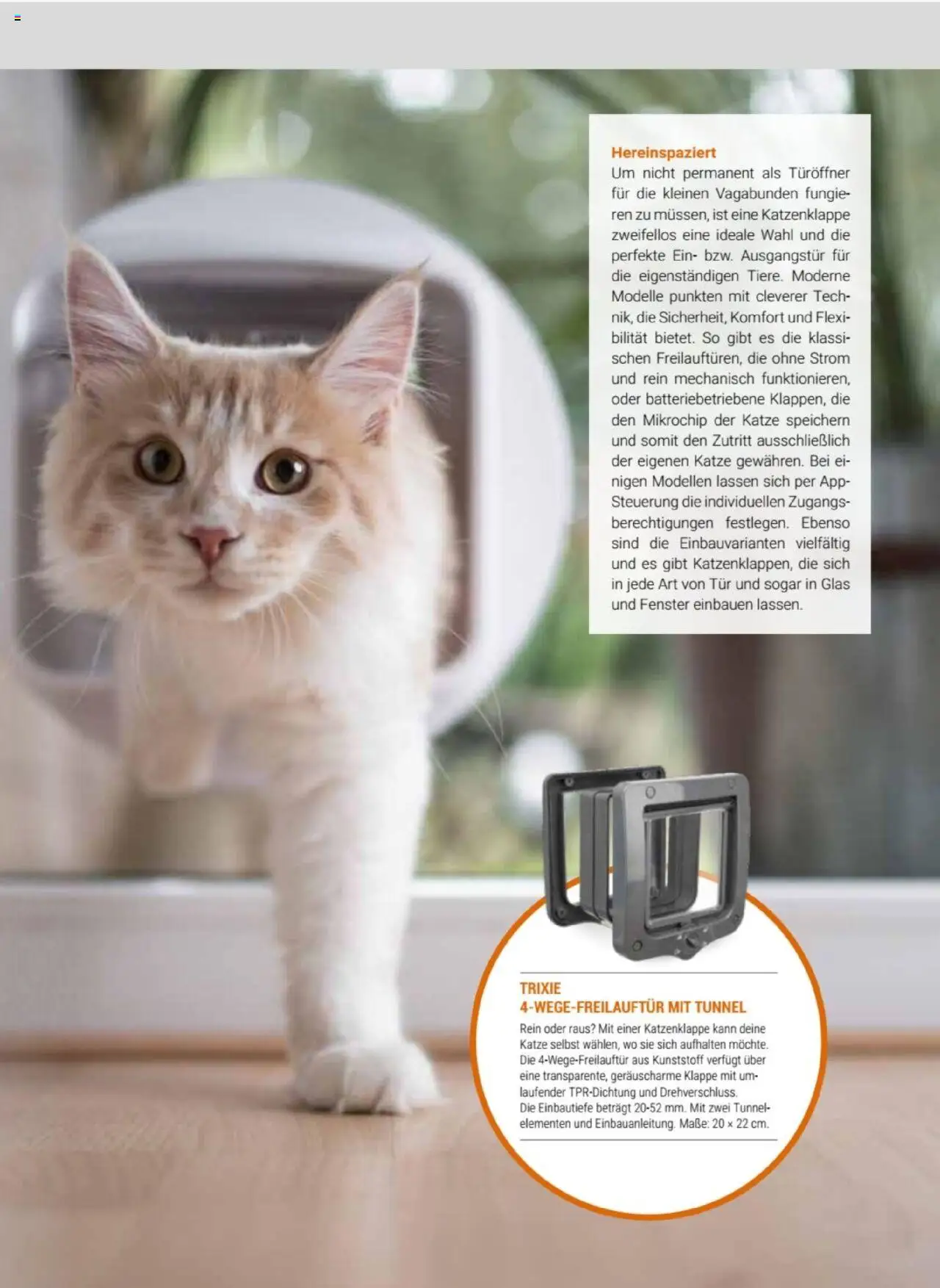 zookauf Themenkatalog Katze – gültig ab 01.10.2025 | Seite: 41 | Produkte: Tür