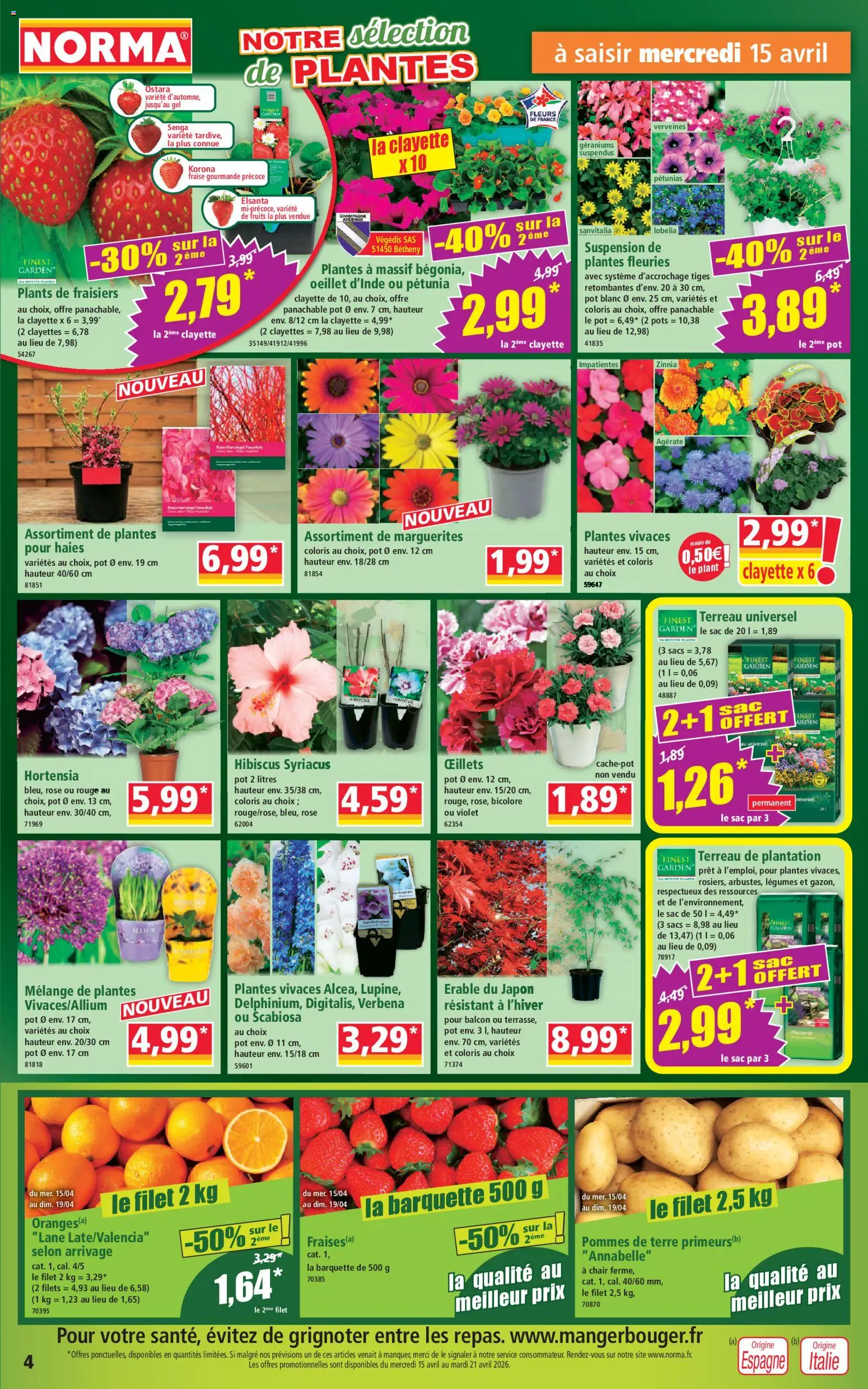 {H1} | Page: 4 | Produits: Plantes, Érable du japon, Suspension, Pommes de terre