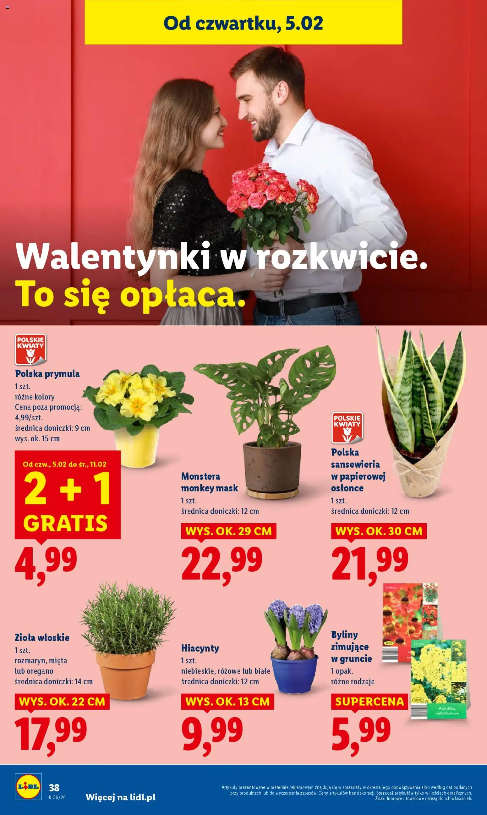 Lidl Gazetka od 05.02.2026 | Strona: 40 | Produkty: Oregano, Mięta, Doniczki, Kwiaty