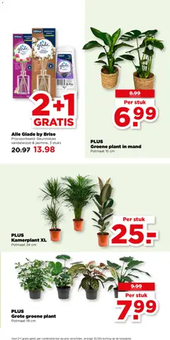 Groene plant in mand, Potmaat 15 cm - Voorbeeld van een folder van Plus, geldig van 07.01.2026 | Pagina: 47