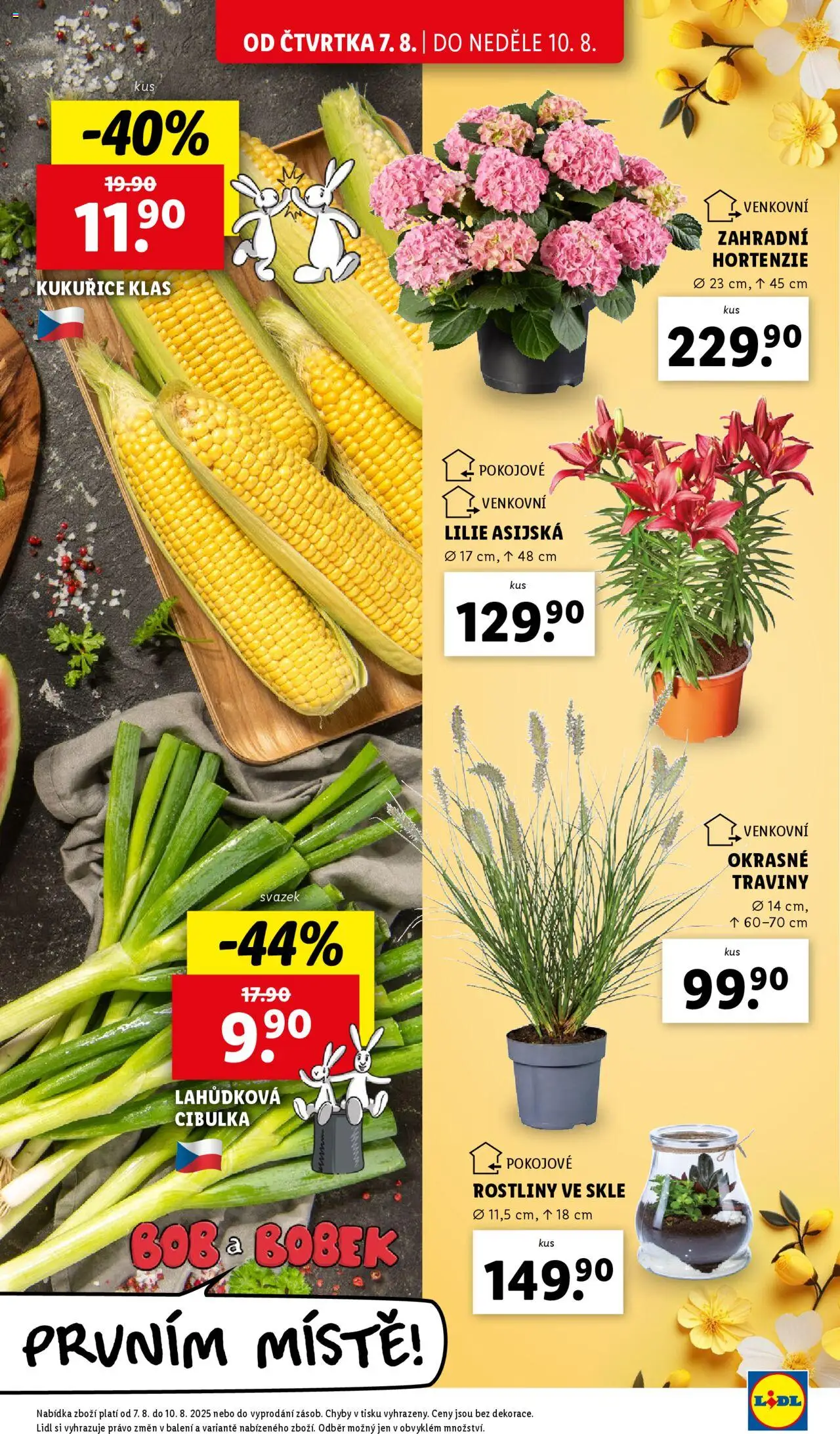 Lidl leták od 07.08.2025 | Strana: 9 | Produkty: Rostliny, Pokojové rostliny