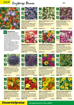 Landi ( Deaktivovane pre Letakomat )  Aktionen ab 07.01.2026 gültig | Seite: 24 | Produkte: Bilden