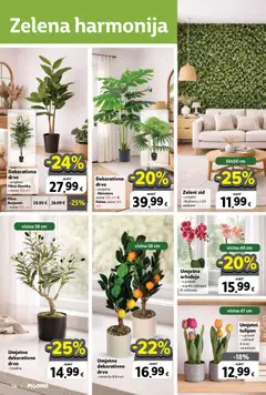 Ponuda Plodine - Pregled kataloga iz trgovine Plodine, vrijedi od 11.03.2026 | Stranica: 14 | Proizvodi: Orhideja, Limun