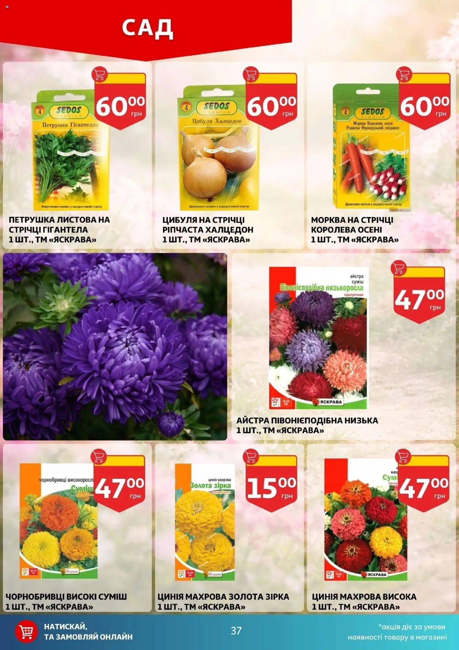 Ашан Kаталог - дійснийкції з 04.02.2026 | Сторінка: 37