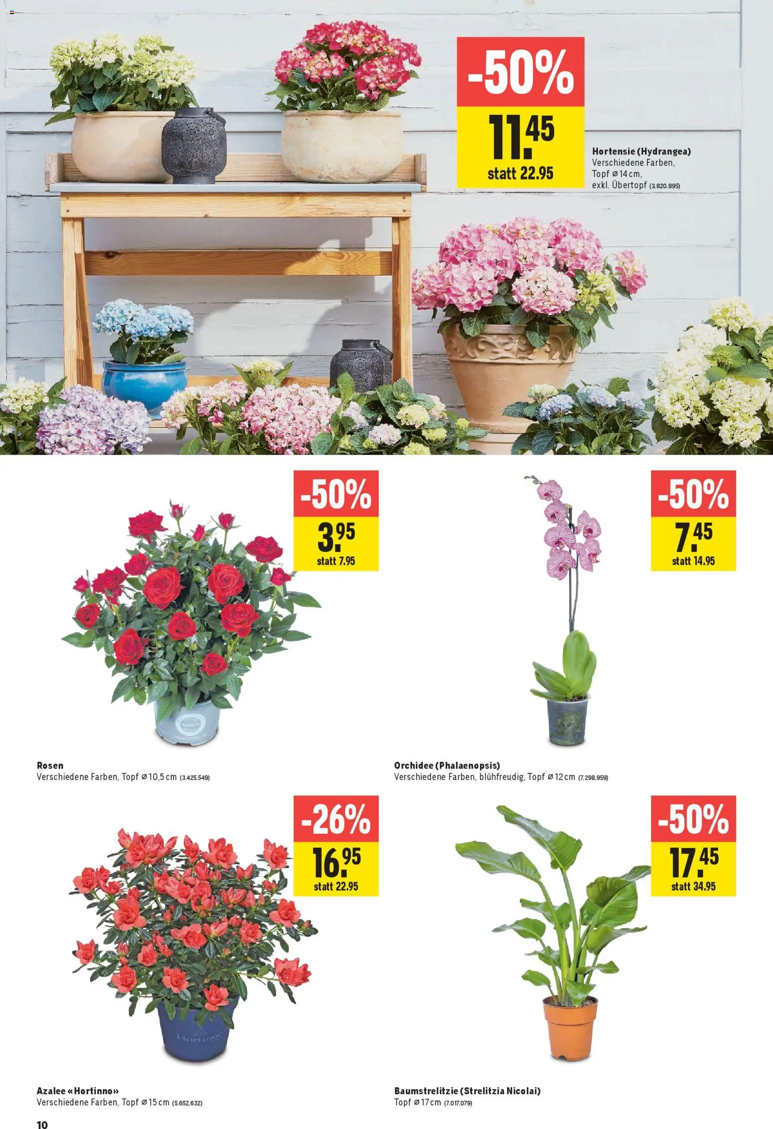 Jumbo Aktionen – gültig ab 26.02.2026 | Seite: 10