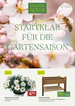 Pflanzen-Kölle Prospekt 	 ab 23.03.2026 gültig