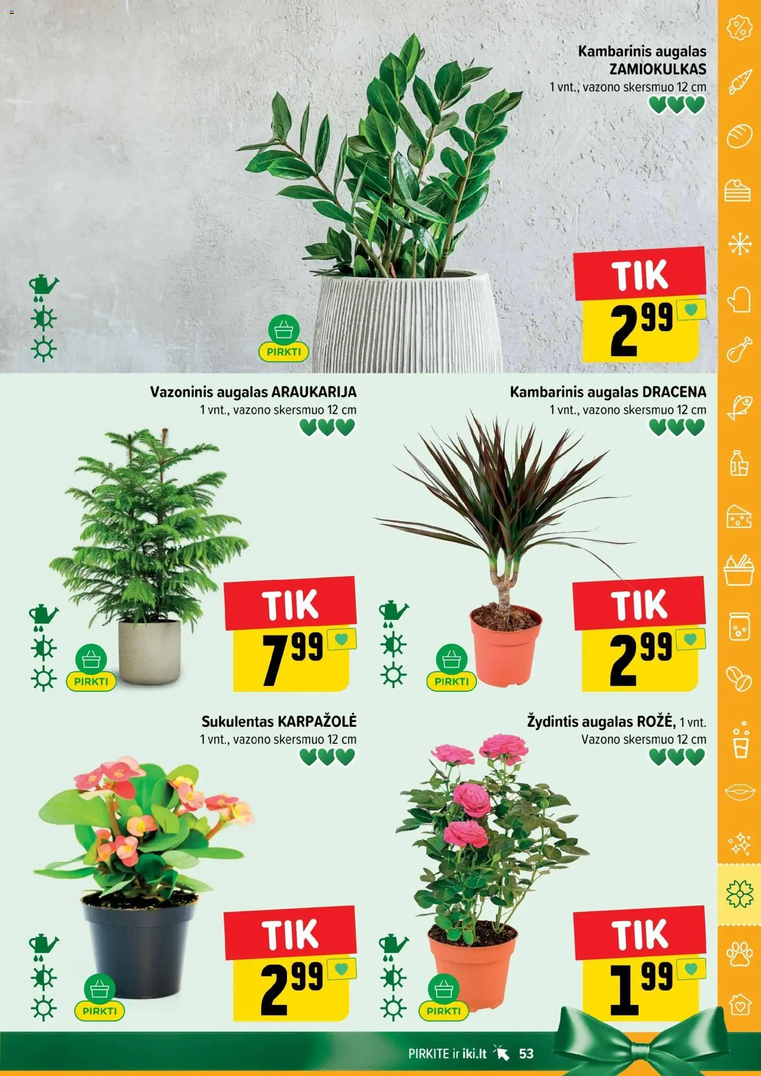 IKI akcijos nuo 03.11.2025 | Puslapis: 53