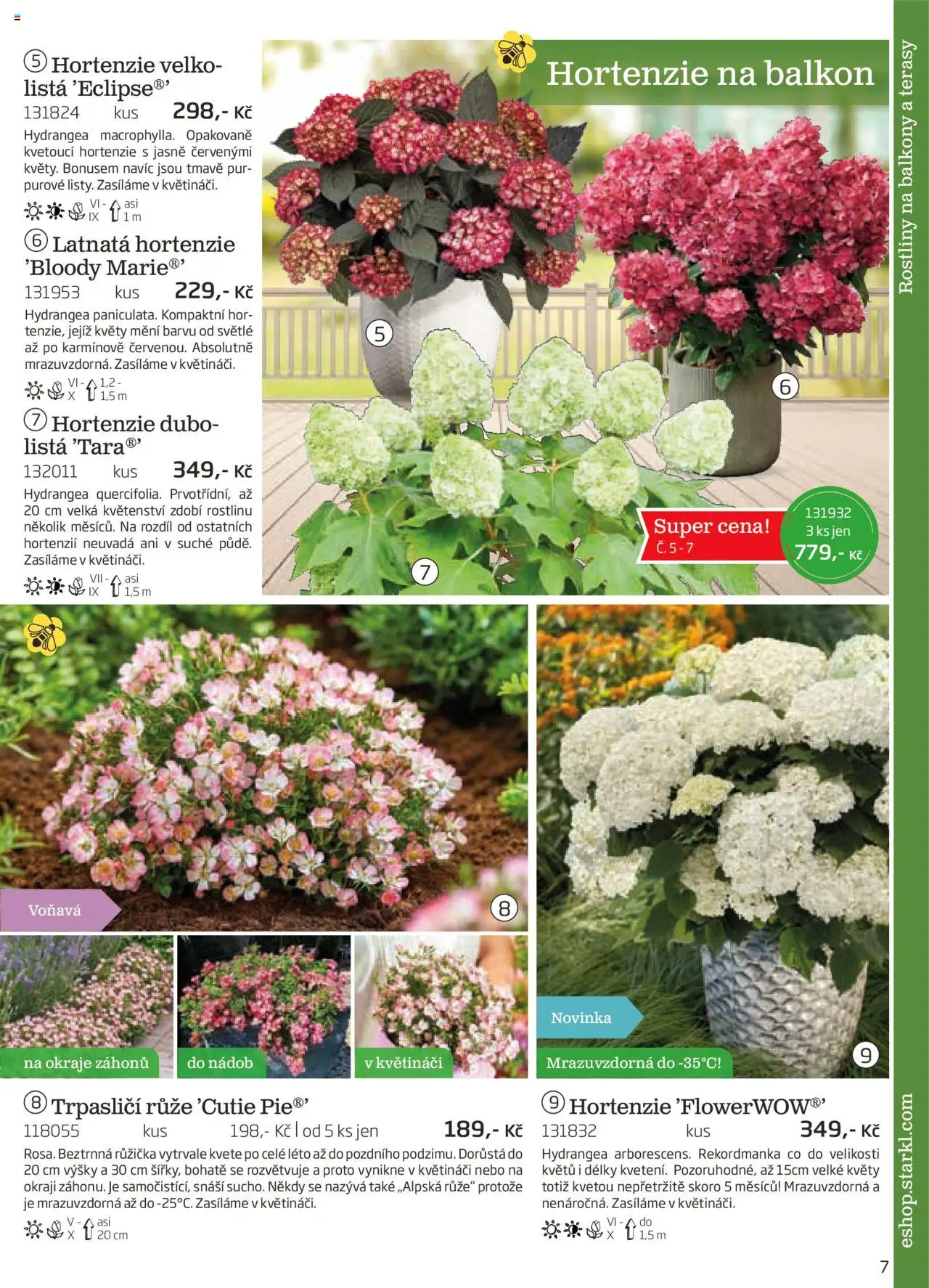Starkl katalog podzim 2025 od 01.08.2025 | Strana: 7 | Produkty: Rostliny