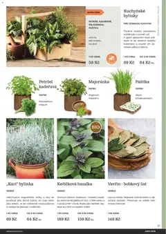 Náhled letáku Starkl katalog Jaro 2026 od 25.02.2026 | Strana: 37 | Produkty: Koření, Čaje, Bazalka, Petržel