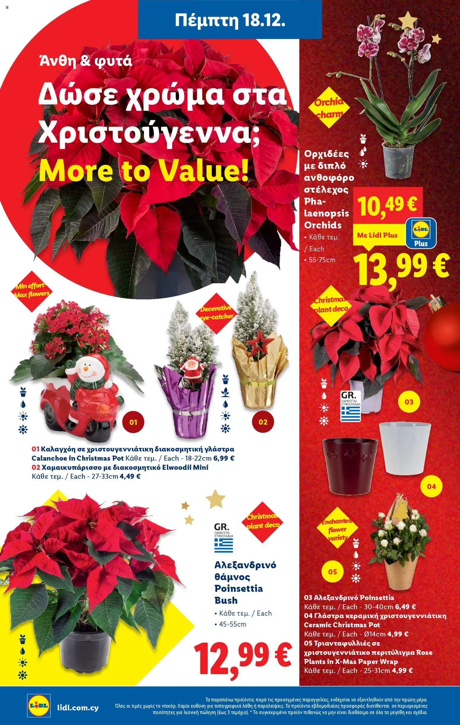 Lidl - Φυλλάδιο – σε ισχύ από 18.12.2025 | Σελίδα: 44