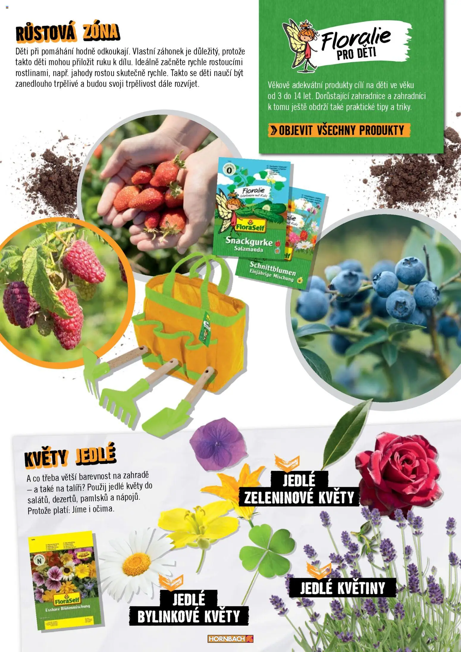HORNBACH leták - Zahrada od 01.01.2026 | Strana: 45 | Produkty: Jahody, Květiny