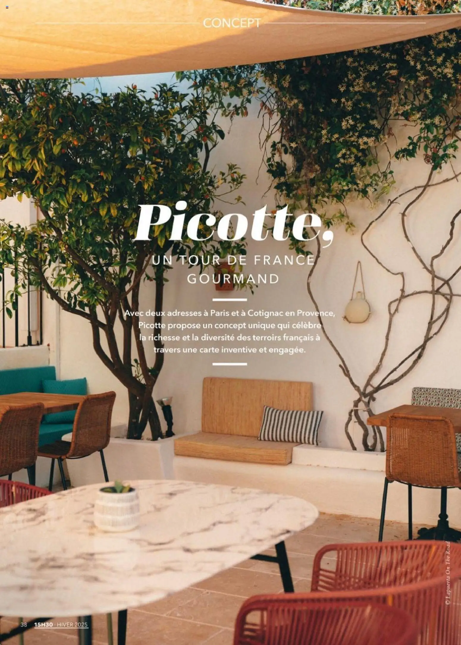 {H1} | Page: 38 | Produits: Thé