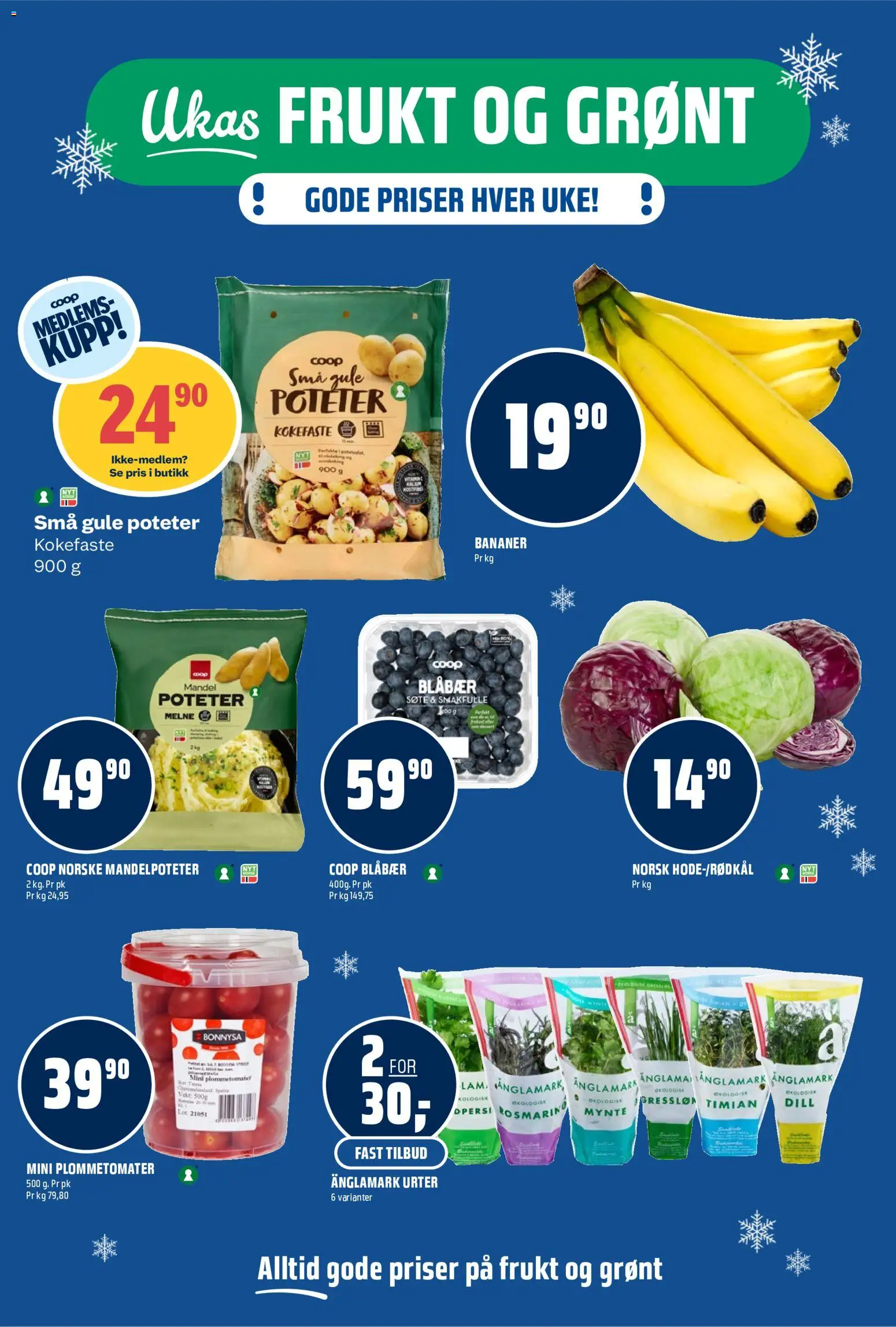 {H1} | Side: 5 | Produkter: Poteter, Urter, Gressløk, Mynte