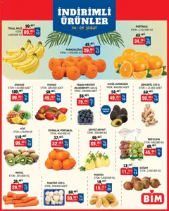 06.02.2026 tarihinden itibaren geçerli olan BİM kataloğu önizlemesi