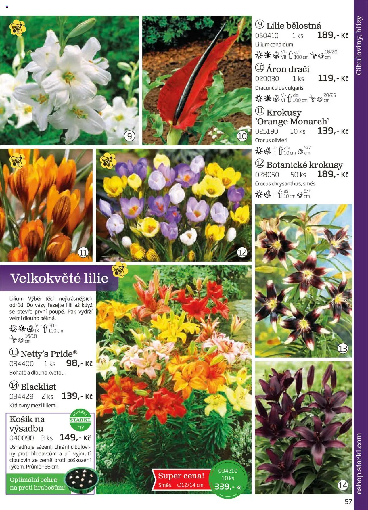 Starkl katalog podzim 2025 od 01.08.2025 | Strana: 57 | Produkty: Košík, Vázy
