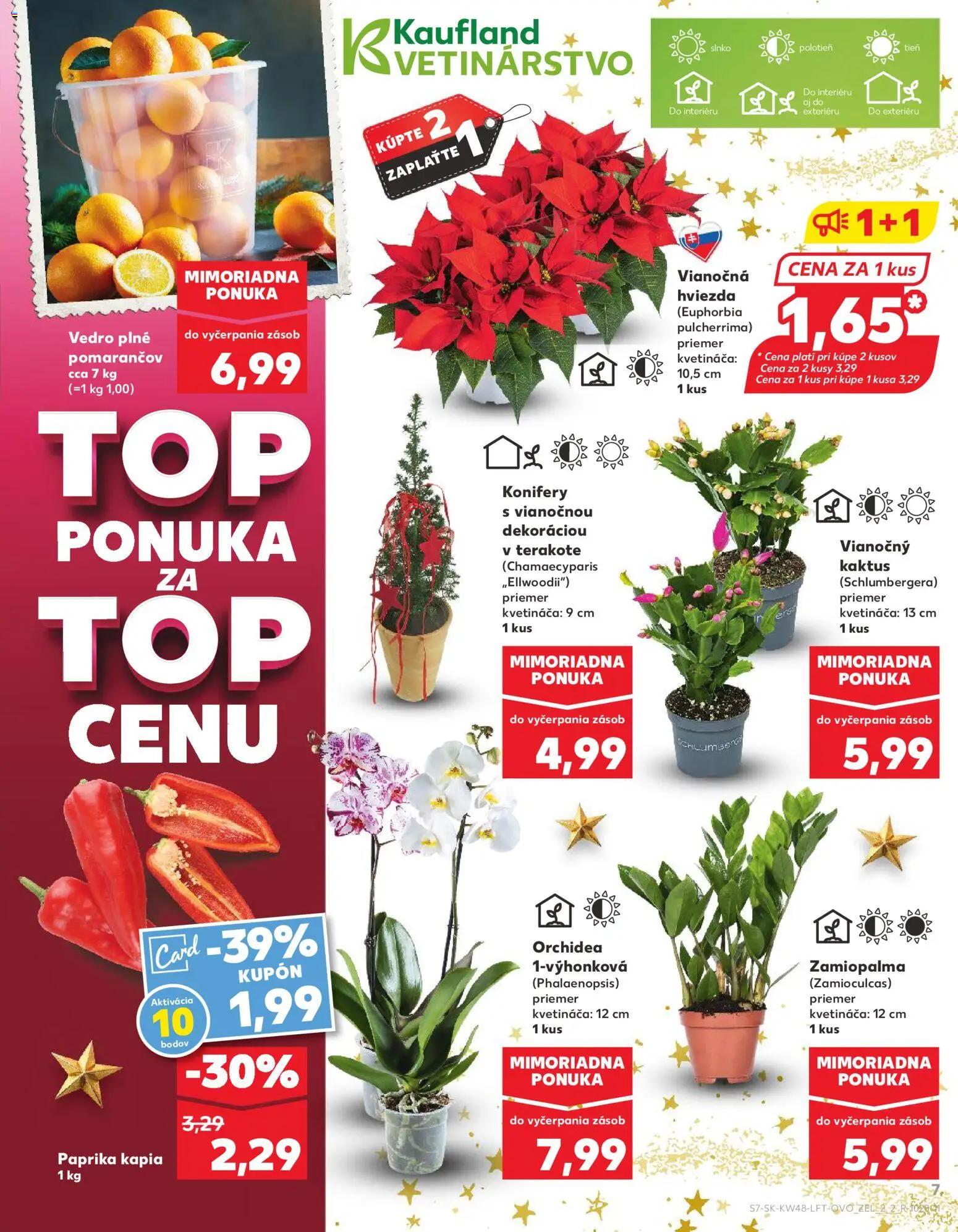Nové Kaufland akcie – leták je platný od 27.11.2025 | Strana: 7 | Produkty: Paprika, Orchidea, Kápia