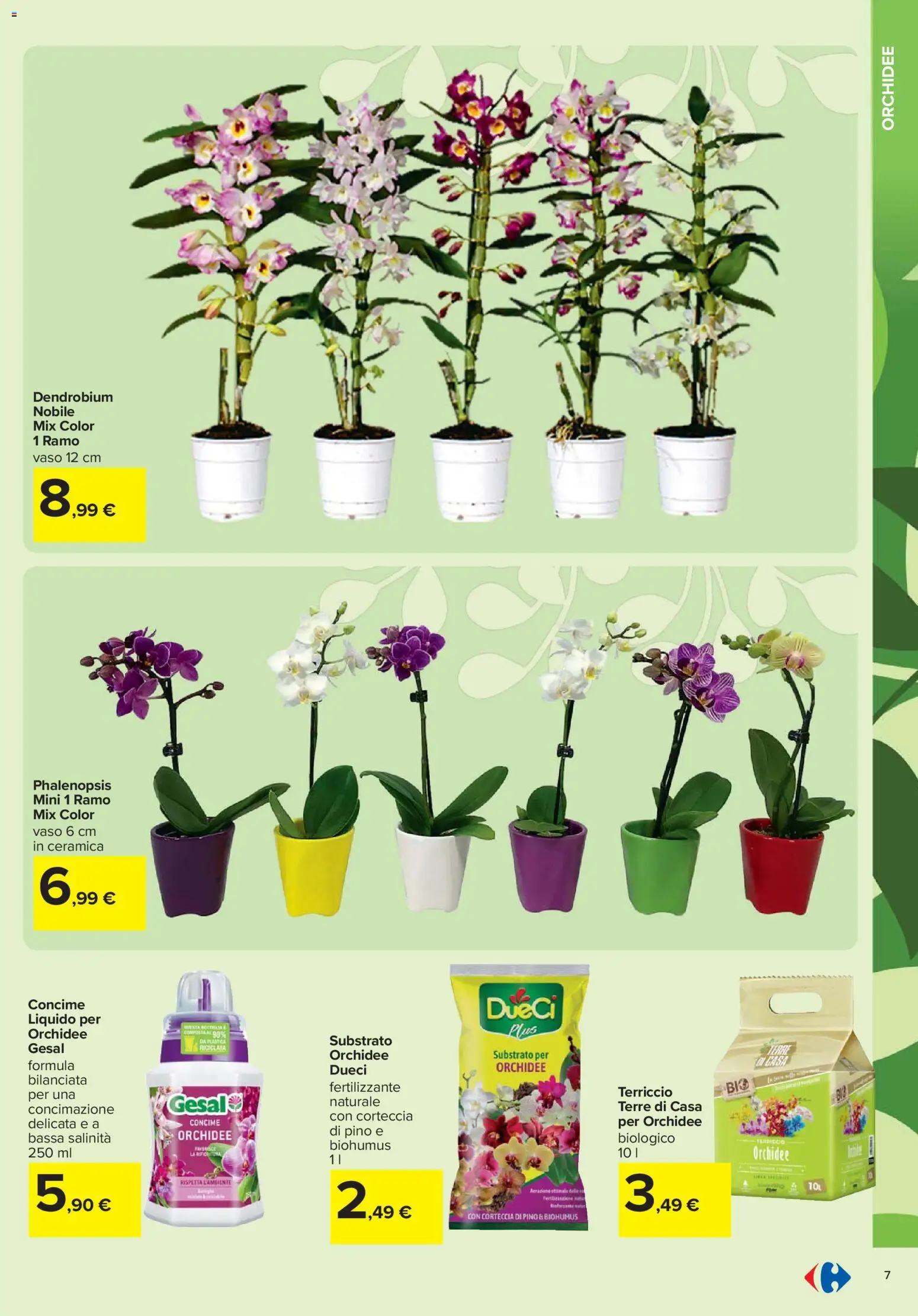 Volantino Carrefour del 19.02.2026 | Pagina: 7 | Prodotti: Concime, Terriccio, Vaso