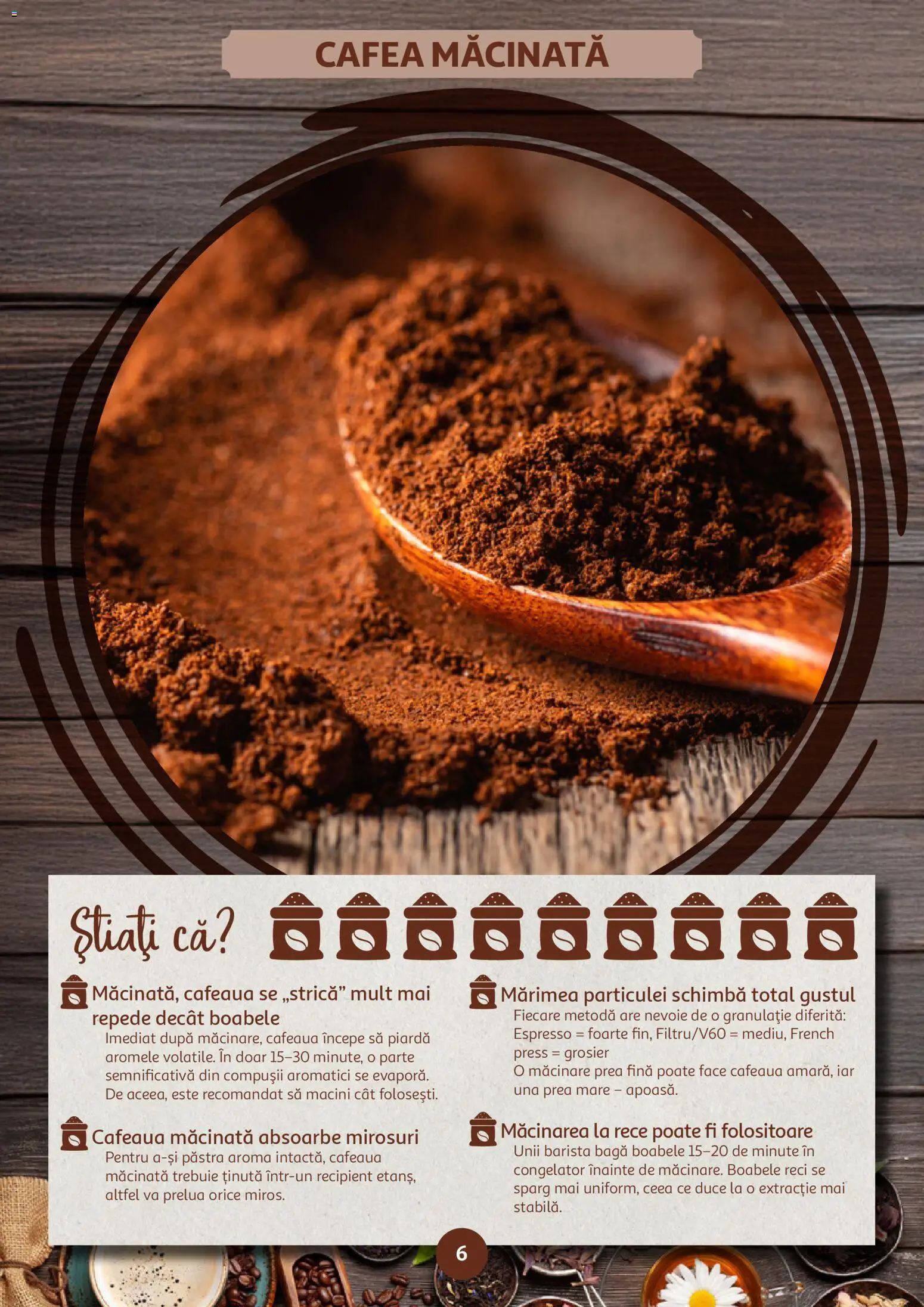 Noul catalog Auchan – valabil de la 14.01.2026 | Pagină: 6 | Produse: Congelator, Cafea