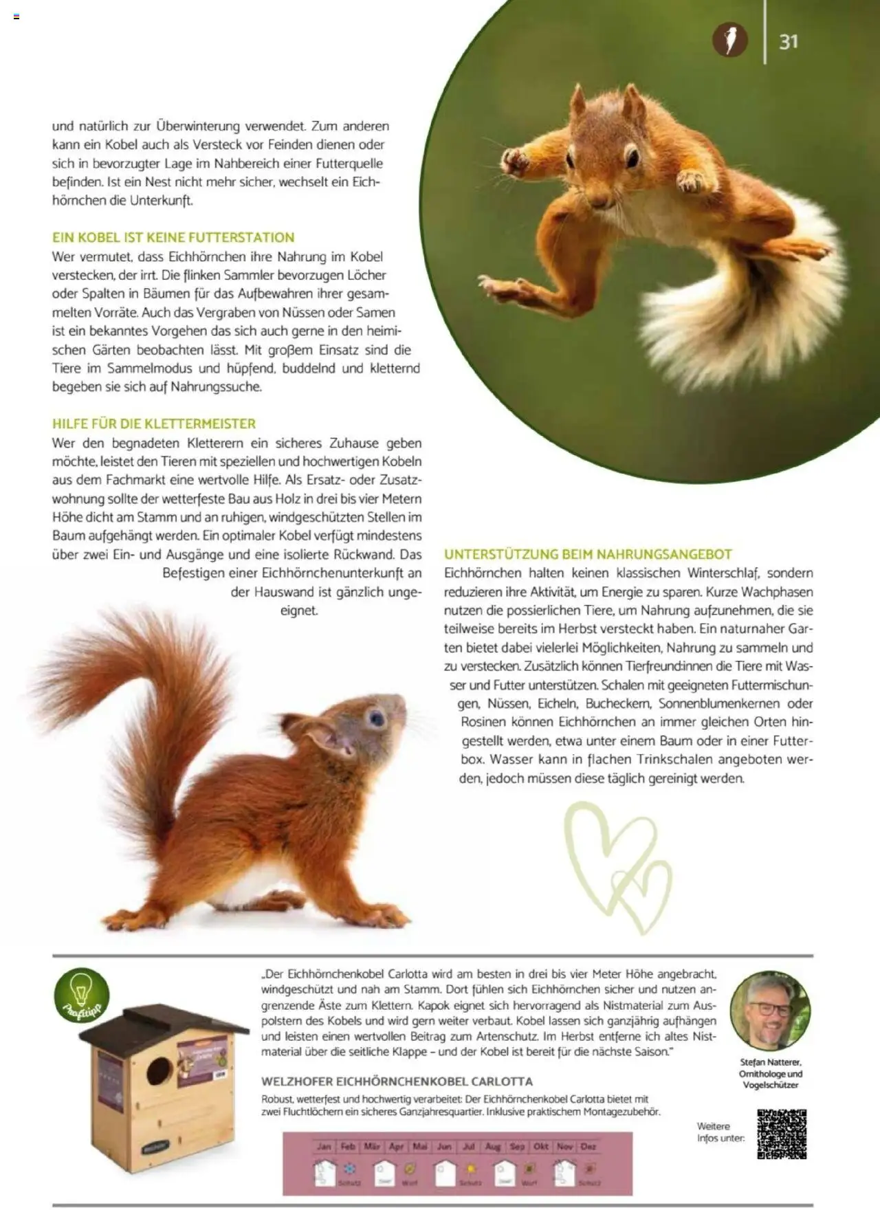 zookauf Heimtier Journal – gültig ab 01.10.2025 | Seite: 31 | Produkte: Rosinen, Wasser