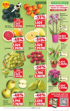 Преглед на Cедмична брошура на Кауфланд - Офертите са валидни от 02.02.2026 | Страница: 3 | Продукти: Ягоди, Авокадо, Грозде, Орхидея