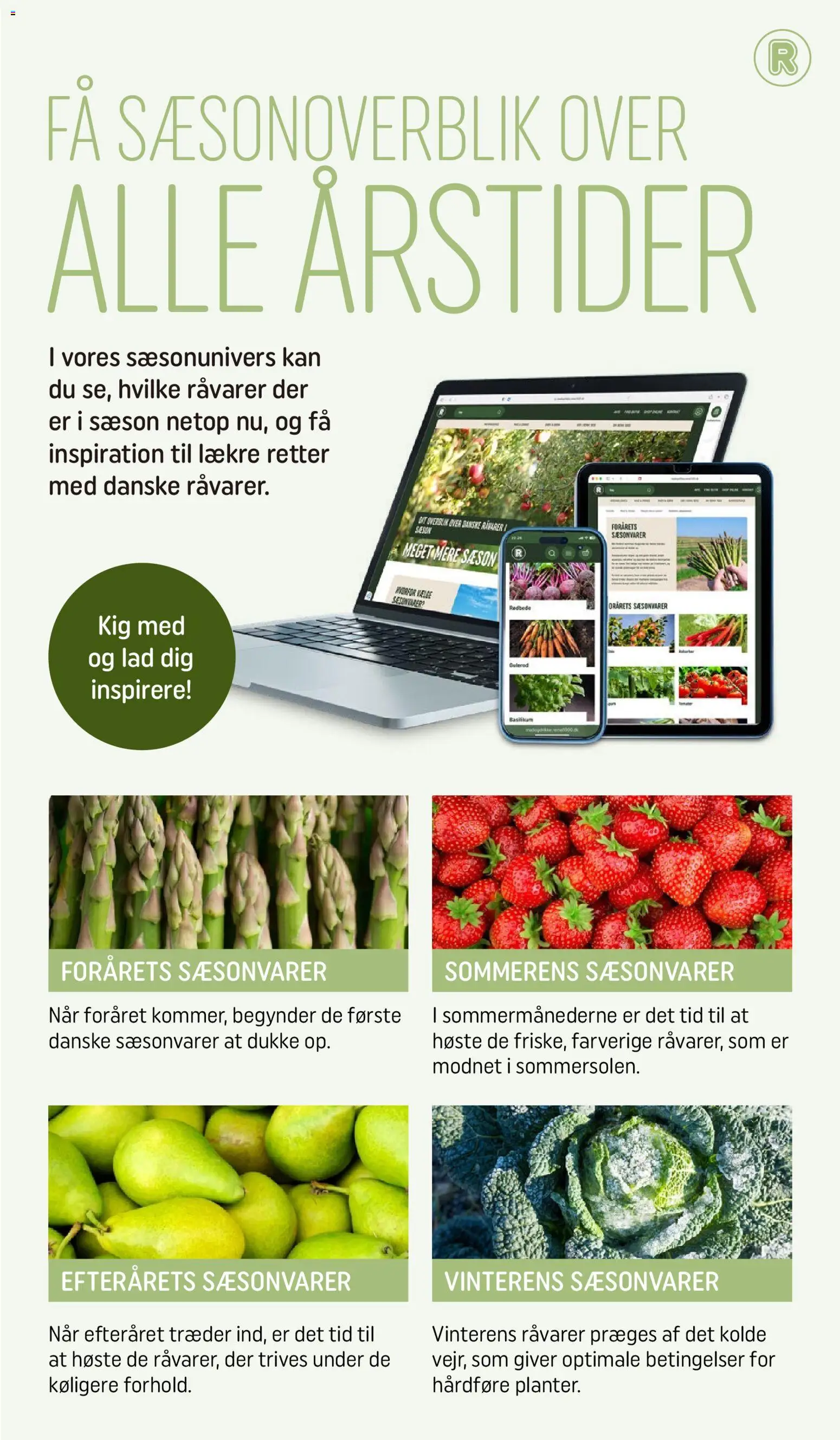 Rema 1000 tilbudsavis – gyldig fra 31.03.2026 | Side: 15 | Produkter: Gulerod, Søm