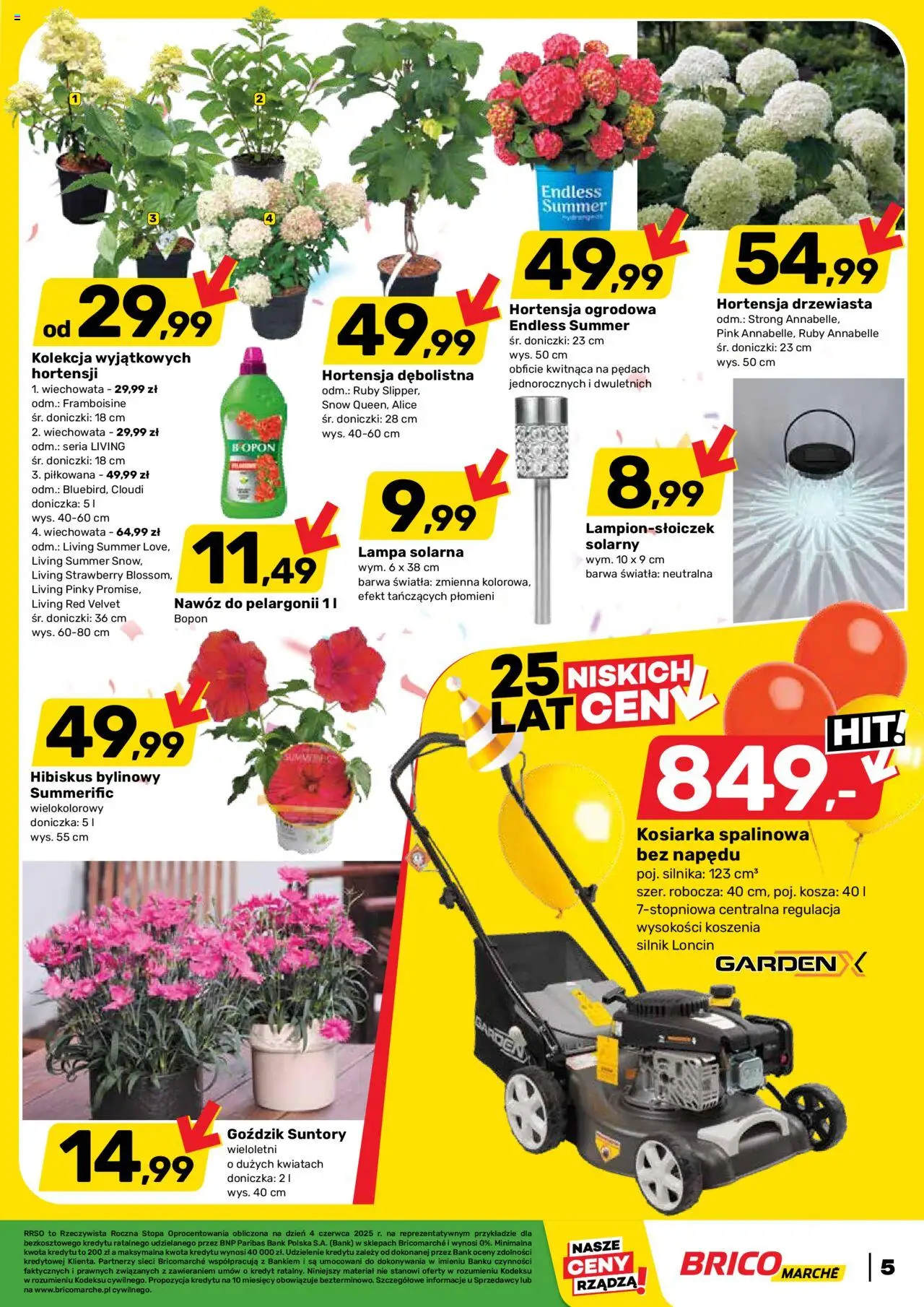 Brico Marché Gazetka od 11.06.2025 | Strona: 5 | Produkty: Lampa solarna, Kosiarka, Goździk, Lampa