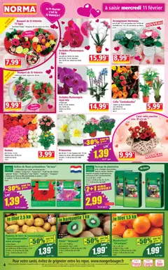 Norma - Prévisualisation de Norma catalogue valide à partir de 11.02.2026 | Page: 4 | Produits: Hortensia, Sac, Plantes, Pommes de terre