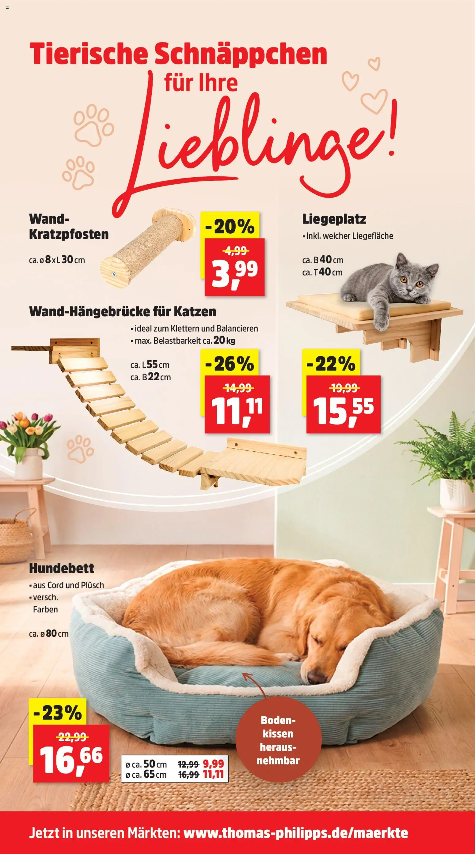 Thomas Philipps Prospekt – gültig ab 09.03.2026 | Seite: 13 | Produkte: Kissen