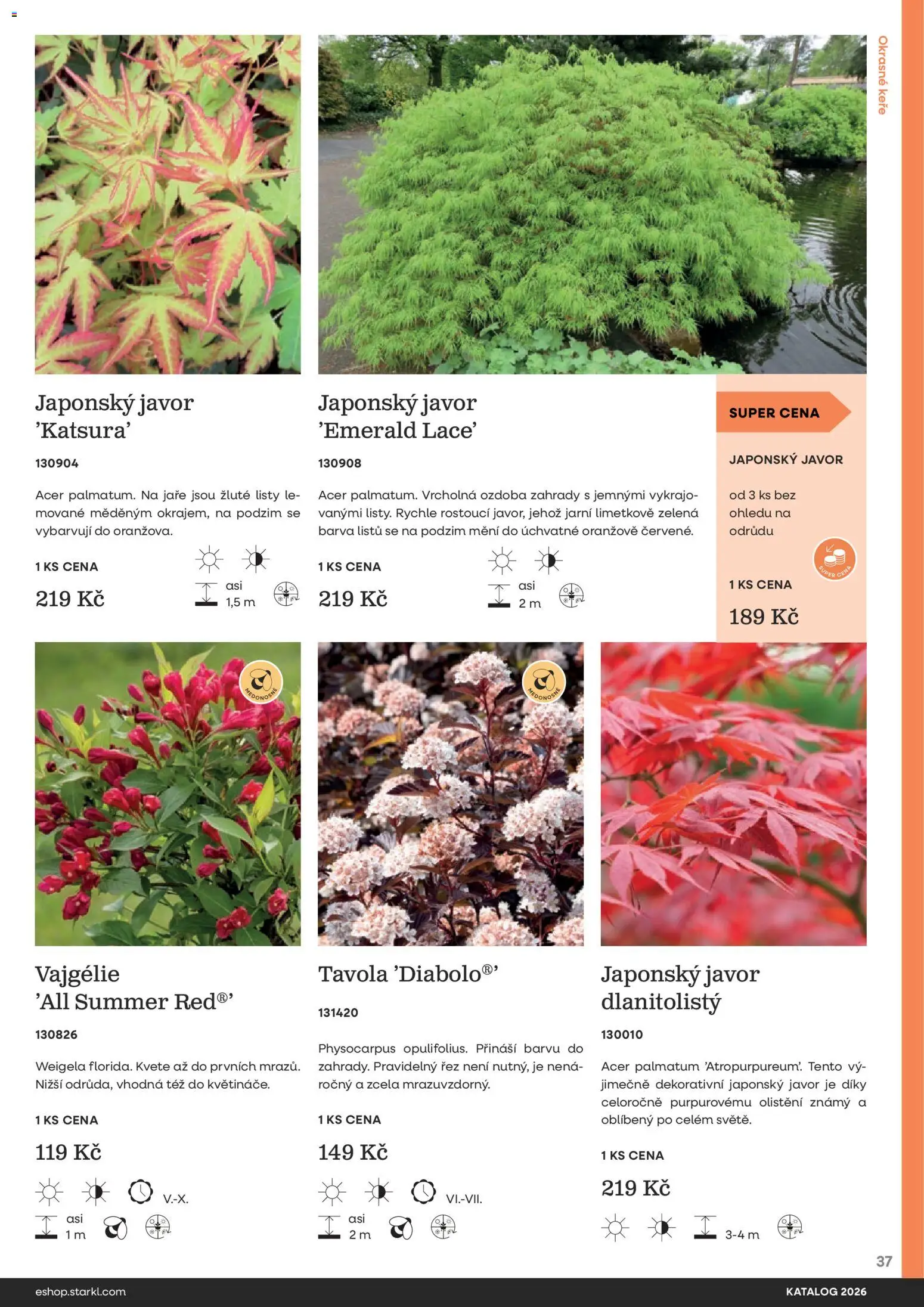 Starkl katalog od 25.02.2026 | Strana: 37