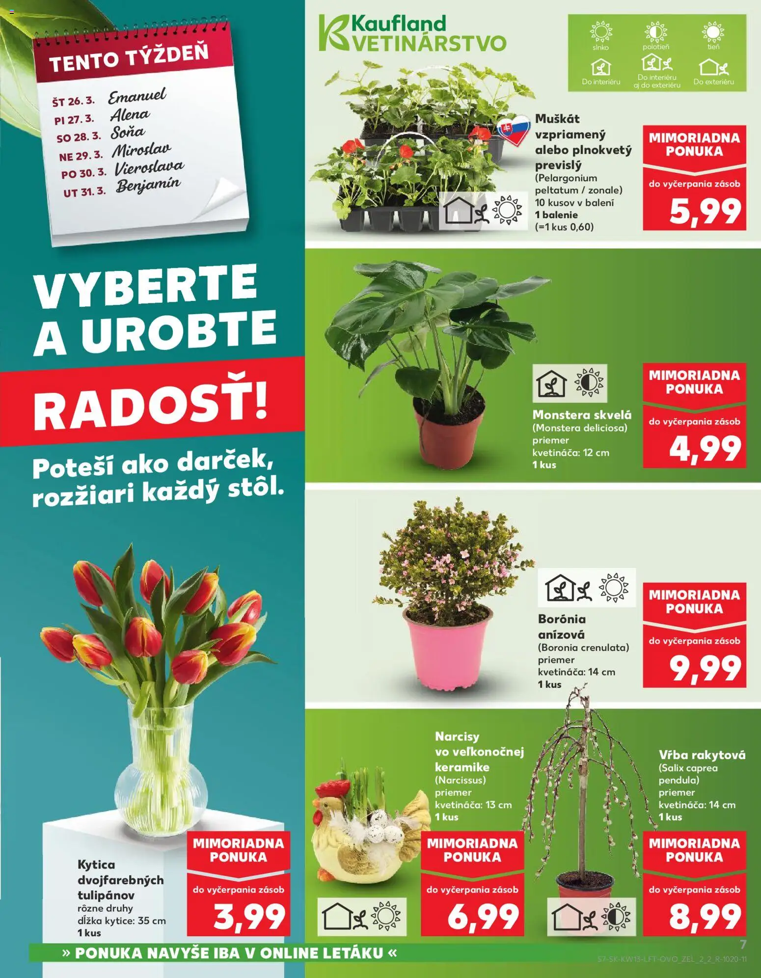 Kaufland SK akciós ujság - amely érvényes a következő dátumtól: 26.03.2026 | Oldal: 7 | Termékek: Monstera, Só