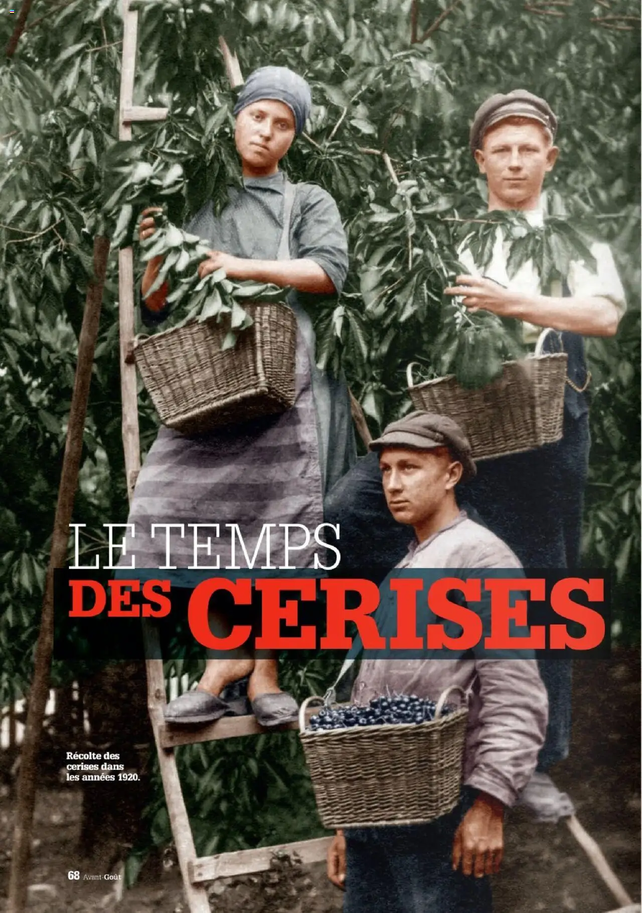  | Page: 68 | Produits: Cerises