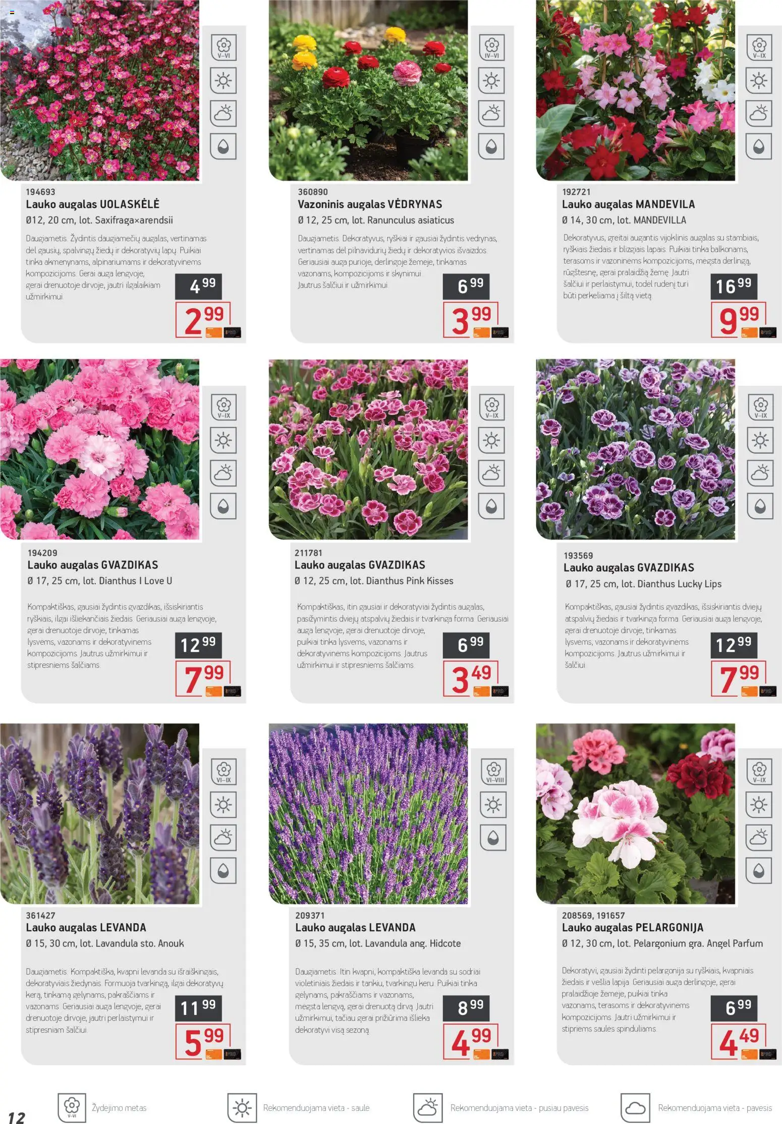 ERMITAŽAS akcijos nuo 04.05.2026 | Puslapis: 12