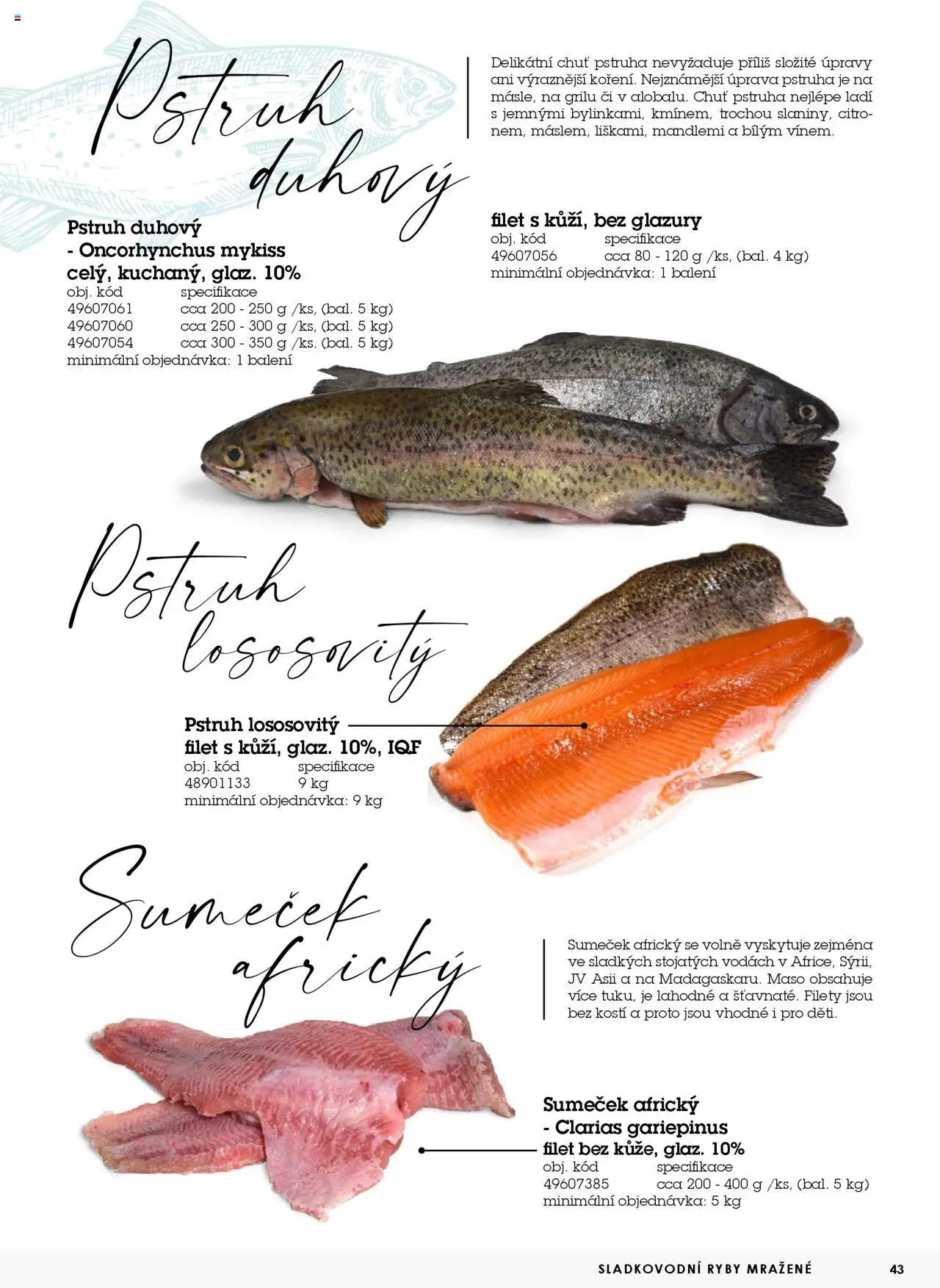 Jip katalog ryby 2024/25 od 30.12.2024 | Strana: 43 | Produkty: Ryby, Pstruh, Filet, Maso