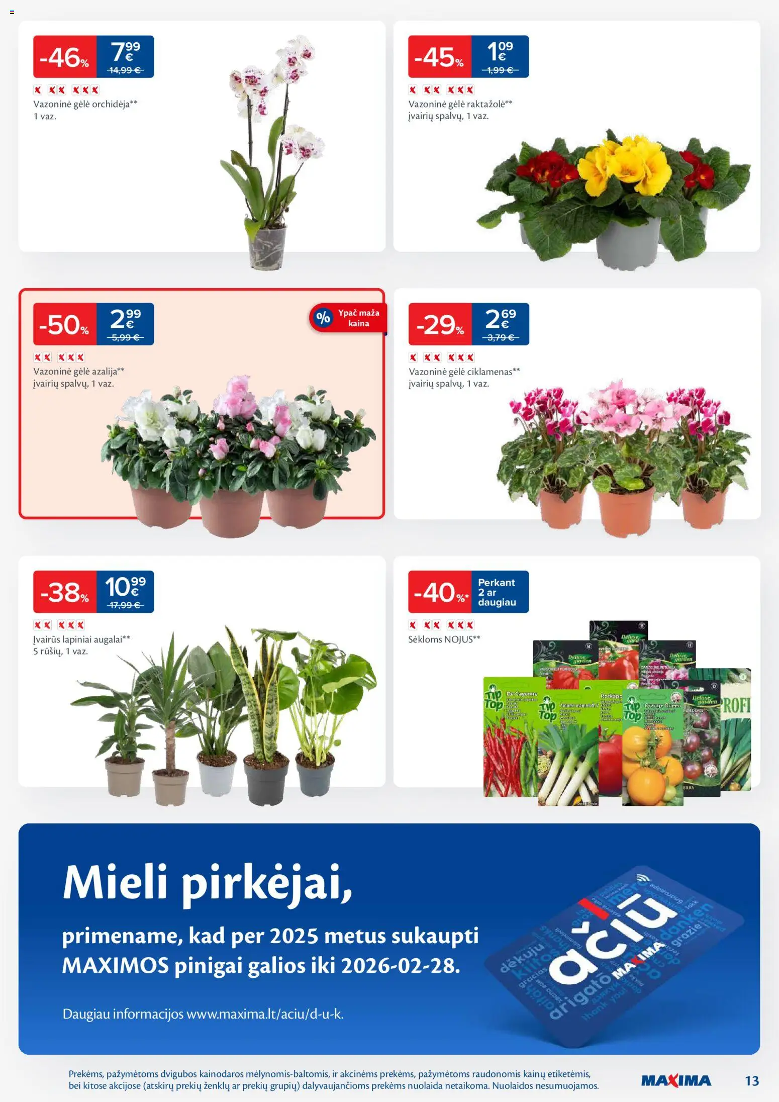 MAXIMA akcijos nuo 24.02.2026 | Puslapis: 13 | Prekių: Sėklos