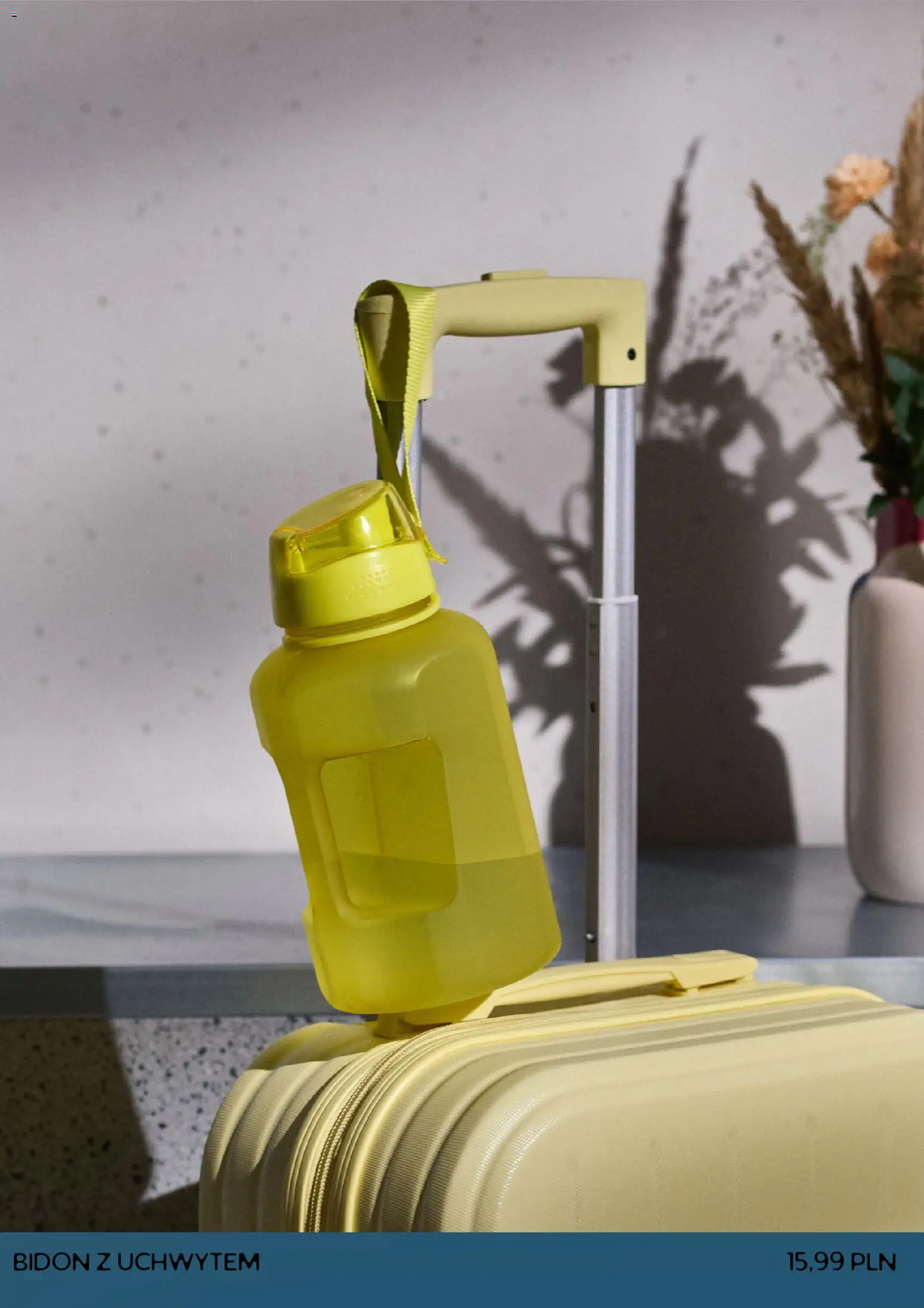 Sinsay Gazetka od 29.12.2025 | Strona: 12