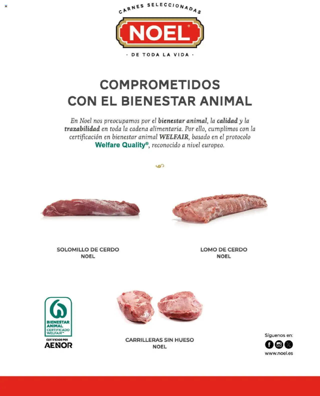 Costco catálogo │ válido desde el 03.07.2025 | Página: 23 | Productos: Solomillo de cerdo, Cerdo
