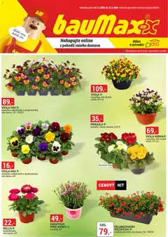 Náhled letáku BAUMAX leták od 01.03.2026