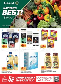 Preview of Géant - Offers valid from 04.01.2026