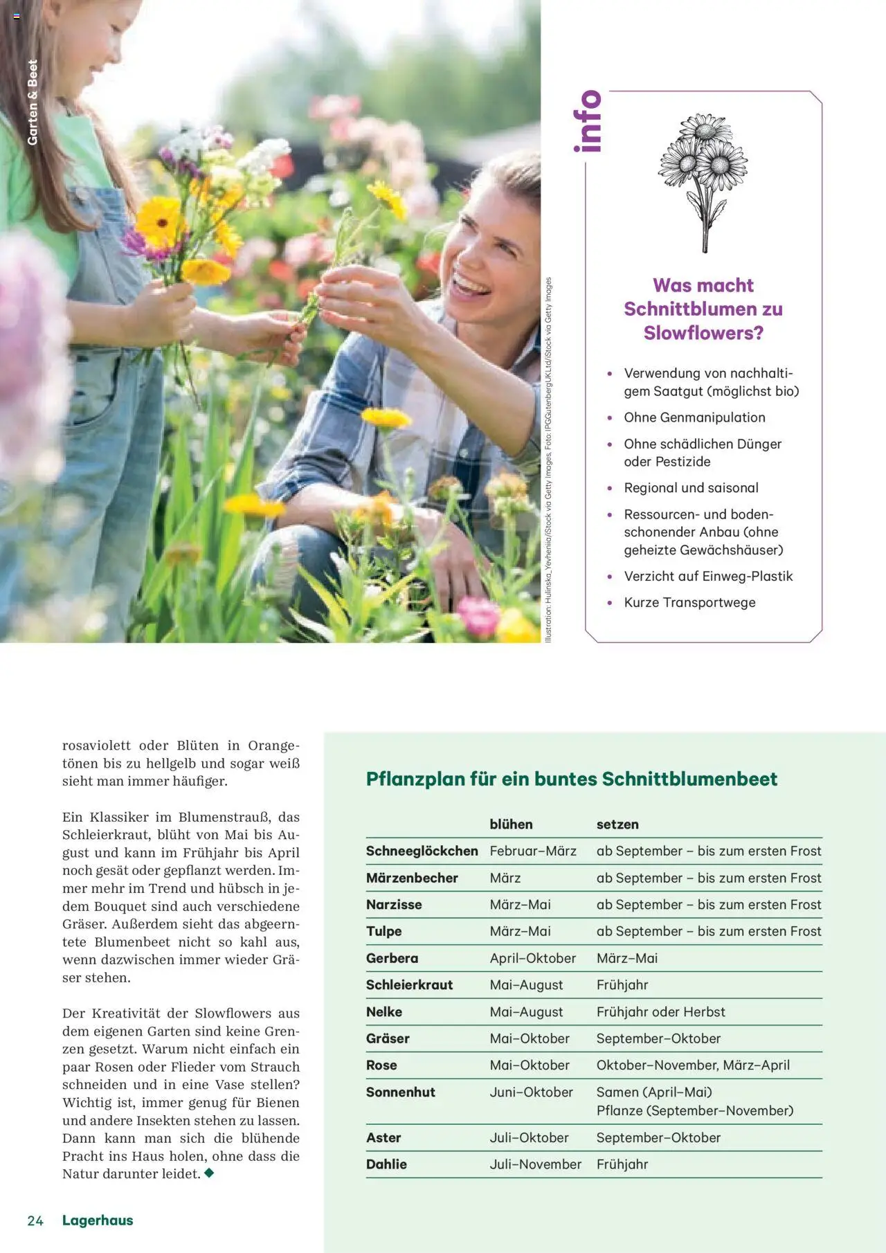 Lagerhaus Fürs Leben am Land Magazin gültig ab 28.04.2025 | Seite: 24 | Produkte: Vase