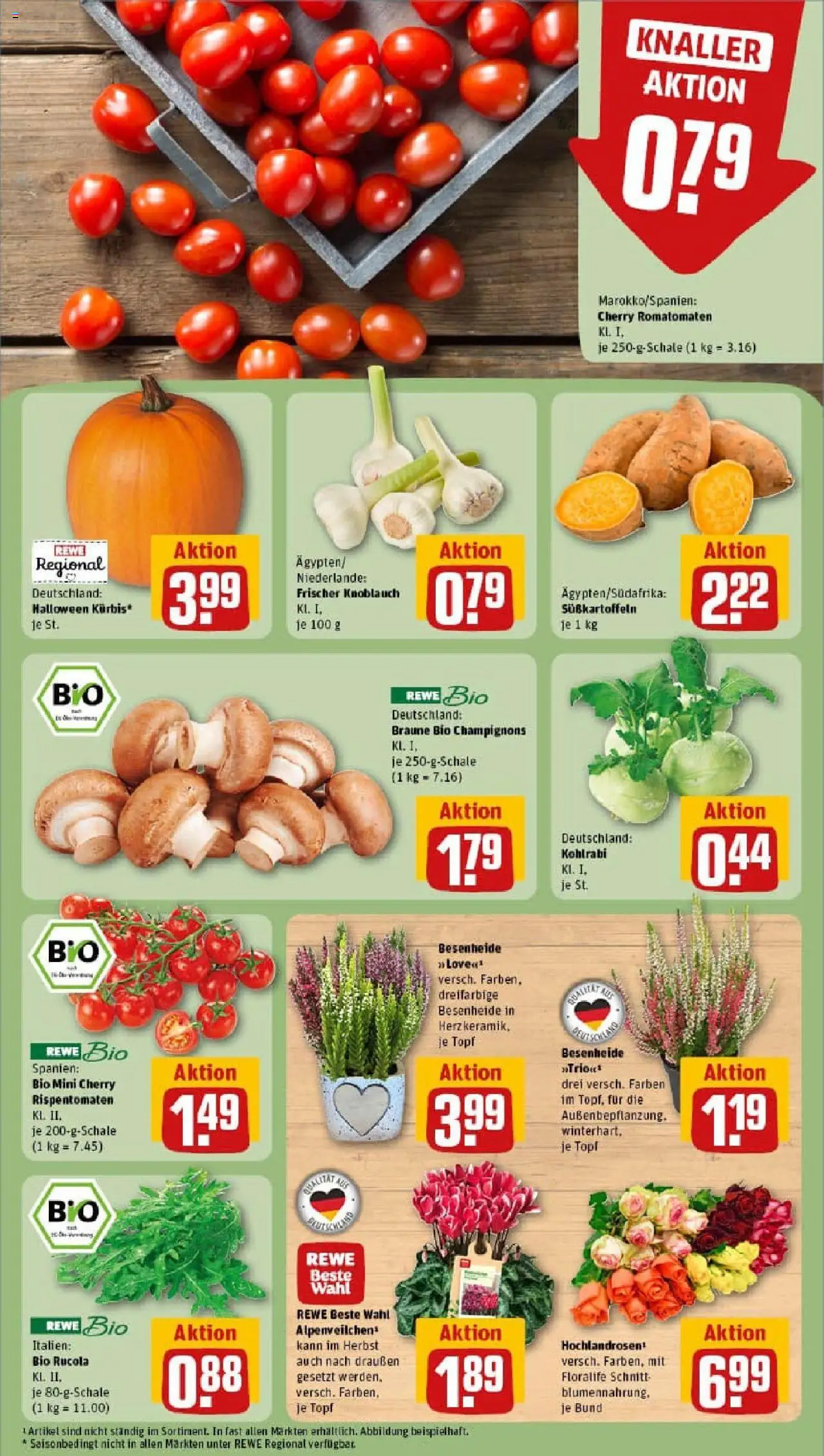 Rewe prospekt Rostock / Südstadt	 – gültig ab 13.10.2025 | Seite: 7 | Produkte: Rucola, Kohlrabi, Champignons, Knoblauch
