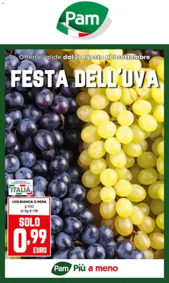 Anteprima del volantino PAM Imperia catalogo valido a partire dal 21.08.2025