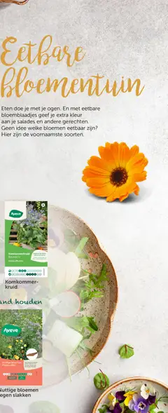 Aveve Groente- en kruidengids - Voorbeeld van een folder van Aveve, geldig van 23.02.2026 | Pagina: 75 | Producten: Bloemen, Salades, Komkommer