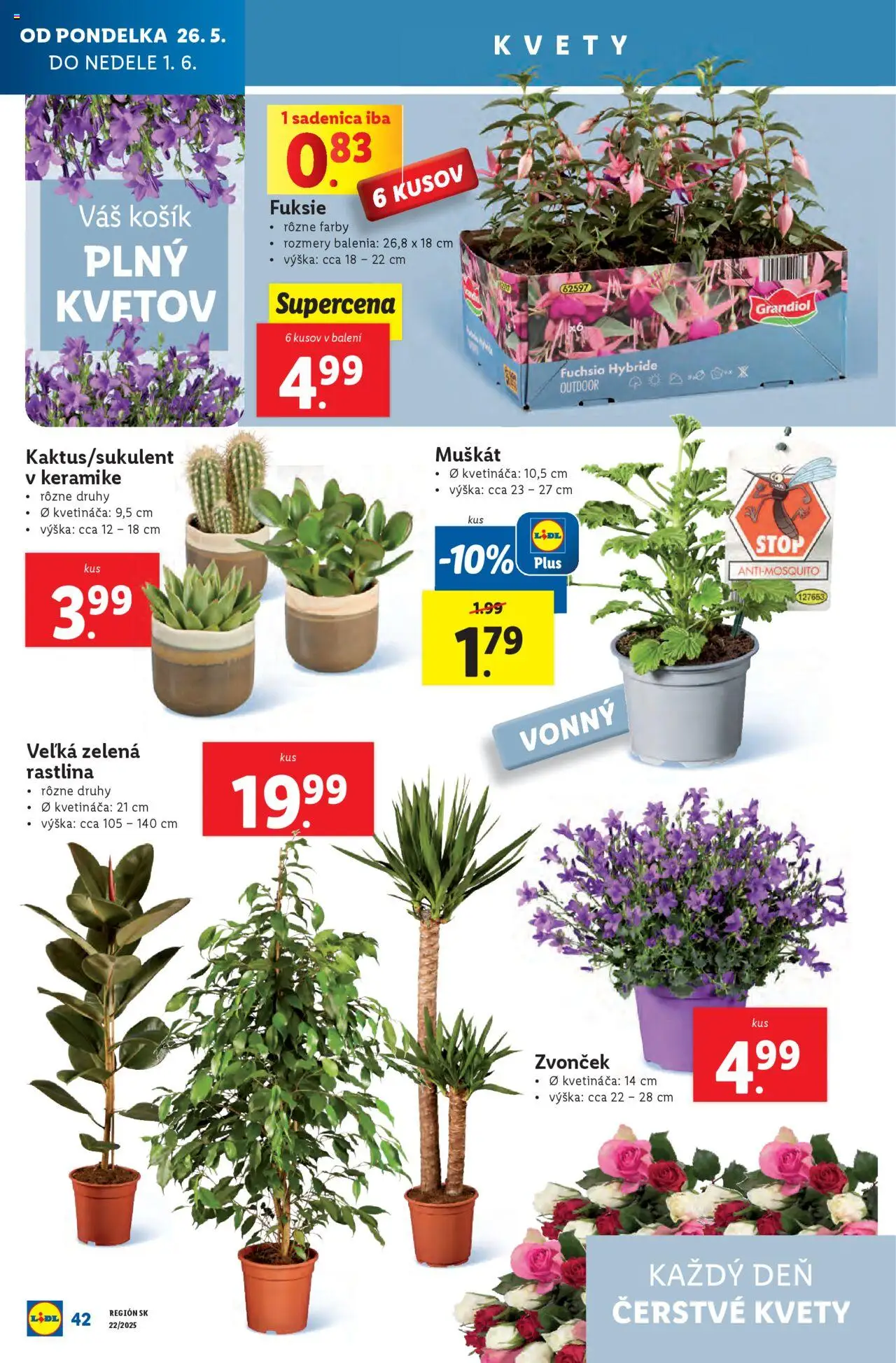 Nové Lidl akcie – leták je platný od 26.05.2025 | Strana: 60