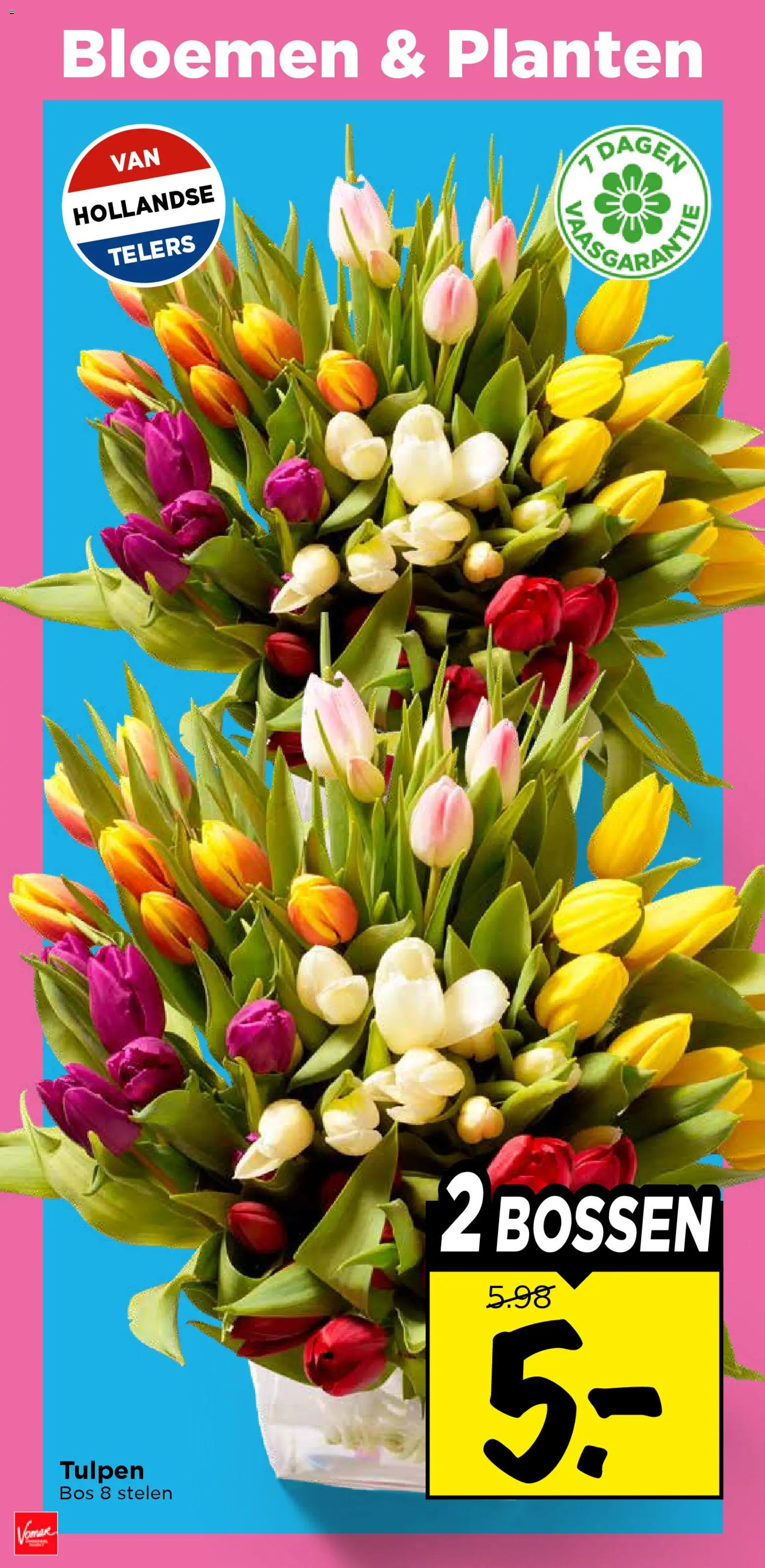 {H1} | Pagina: 36 | Producten: Bloemen